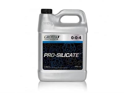 PRO SILICATE 1 L