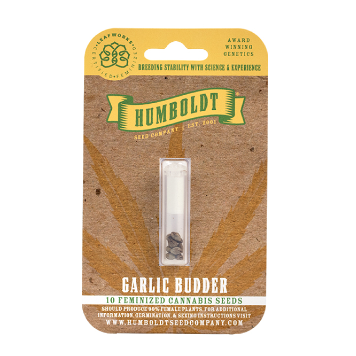 GARLIC BUDDER (3)