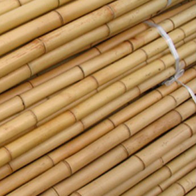 TUTOR BAMBU 60 cm