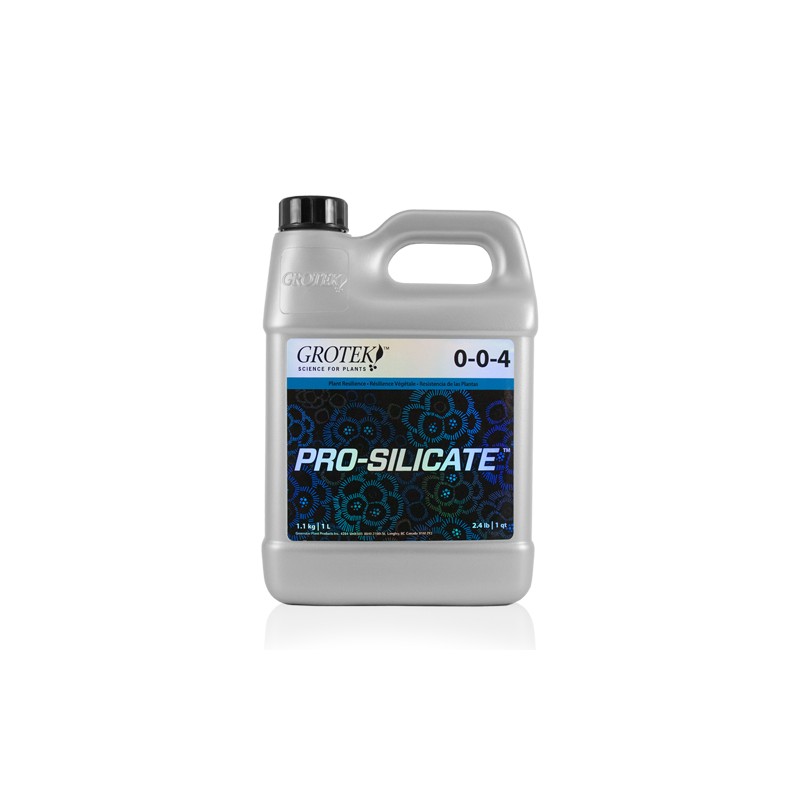 PRO SILICATE 0,5 L