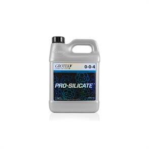 PRO SILICATE 0,5 L