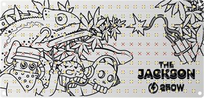 THE JACKSON  250 W