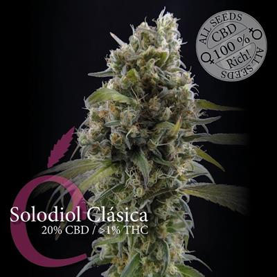 SOLODIOL CLASIC (3)