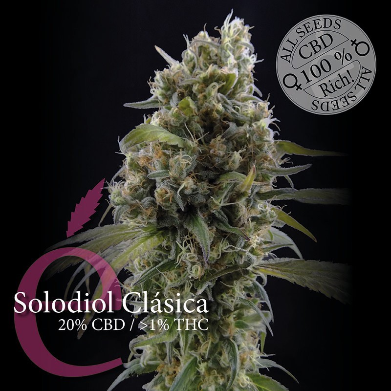 SOLODIOL CLASIC (3)