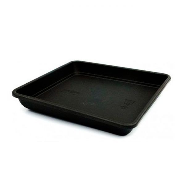 PLATO CUADRADO 30 cm