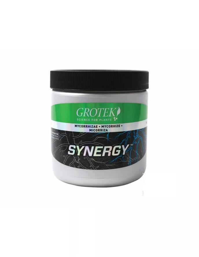 SYNERGY 140 gr