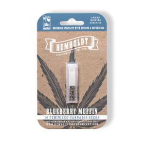 BLUEBERRY MUFFIN (5)