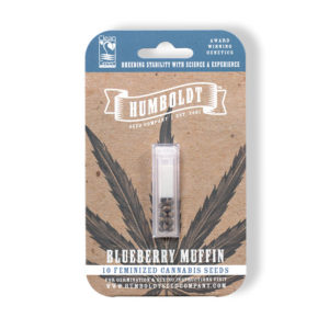 BLUEBERRY MUFFIN (10)