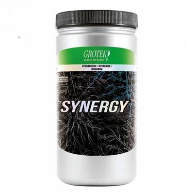 SYNERGY 400gr