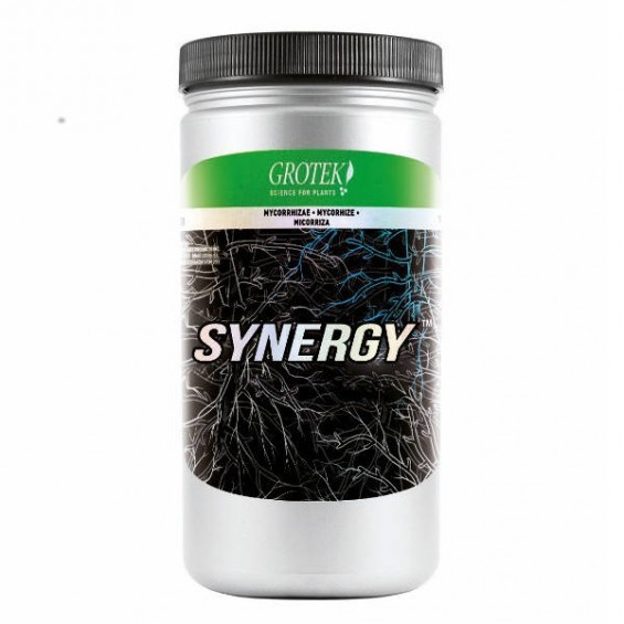 SYNERGY 400gr