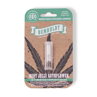 MINT JELLY AUTO (5)