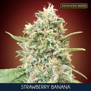 STRAWBERRY  BANANA (5 y 2)
