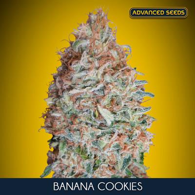 BANANA COOKIES (5 y 2)