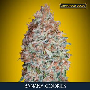 BANANA COOKIES (5 y 2)