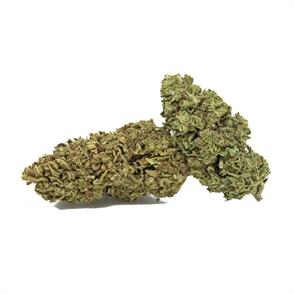 MOBY DICK 10 gr CBD gold indoor