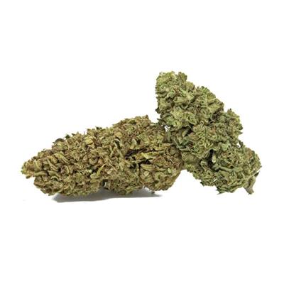 MOBY DICK 50 gr CBD gold indoor