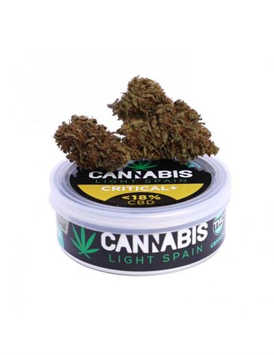 CRITICAL + 3 gr CBD flor premium