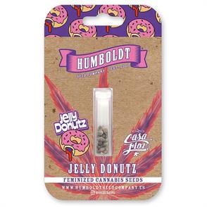 JELLY DONUTZ (3)