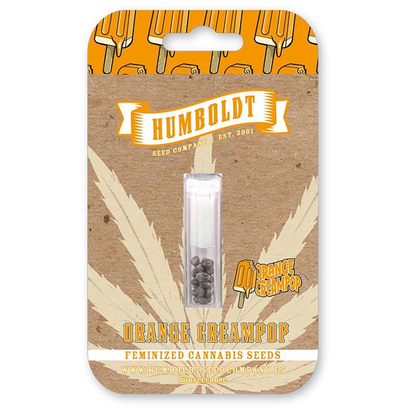 ORANGE CREAMPOP (3)