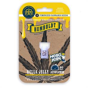 HELLA JELLY AUTO (5)