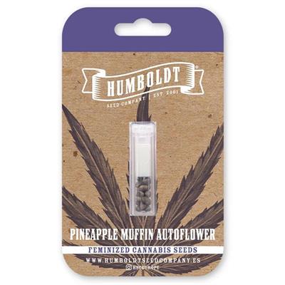 PINEAPPLE MUFFIN AUTO (5)