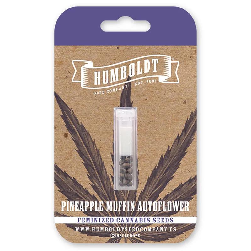PINEAPPLE MUFFIN AUTO (5)