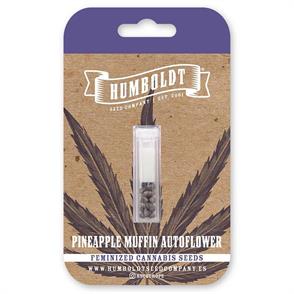 PINEAPPLE MUFFIN AUTO (5)