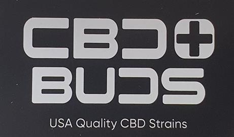 CBD + BUDS
